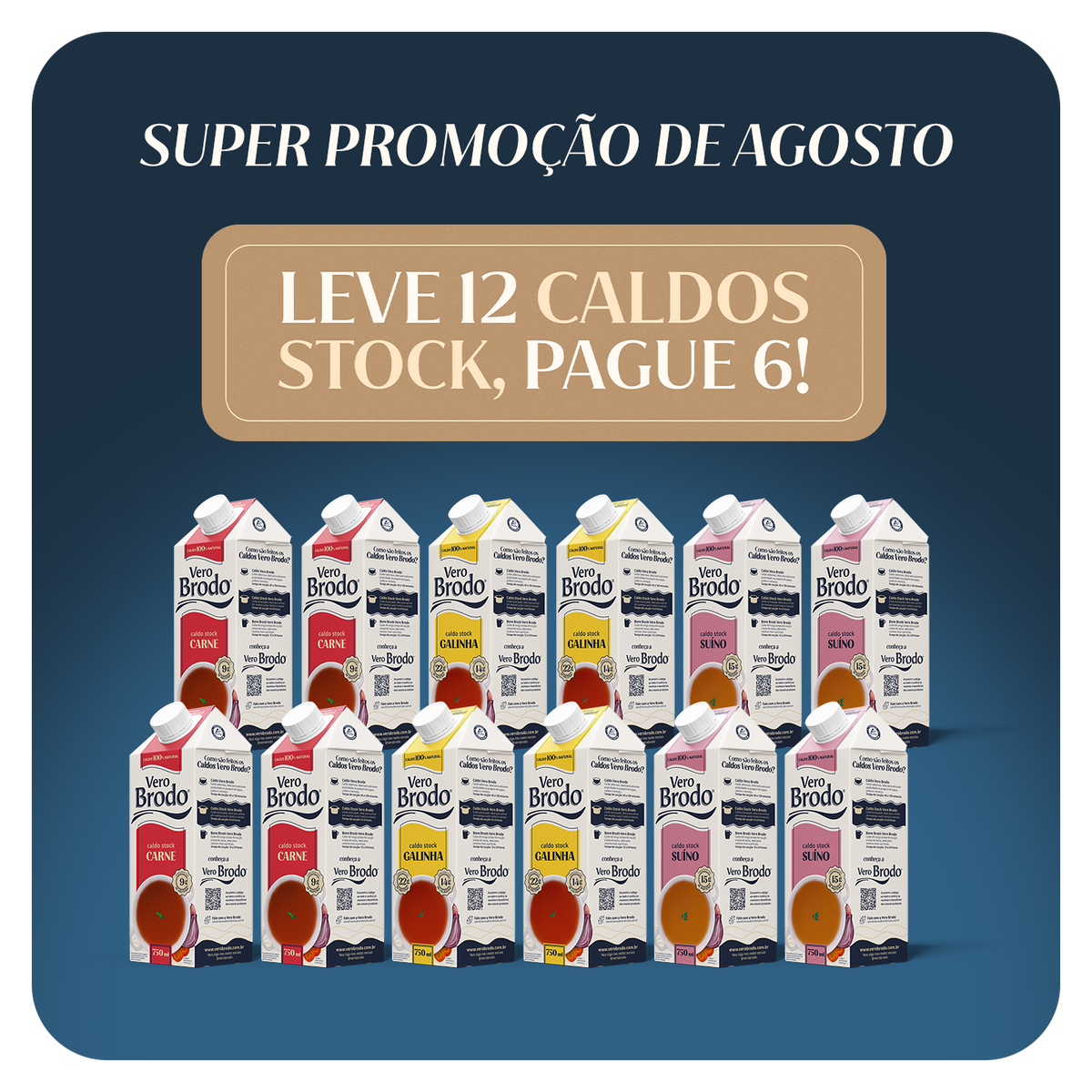 Compre 6 Leve 12 Caldos Stock